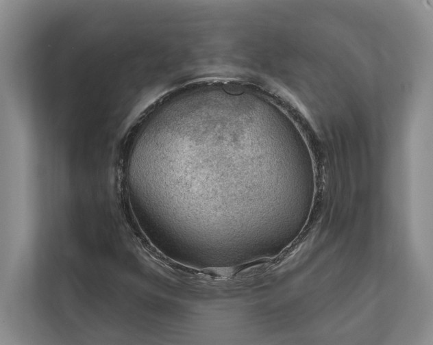 X0000112021352200908171421