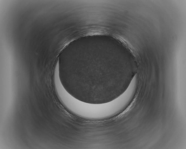 X0000112021353200908171421