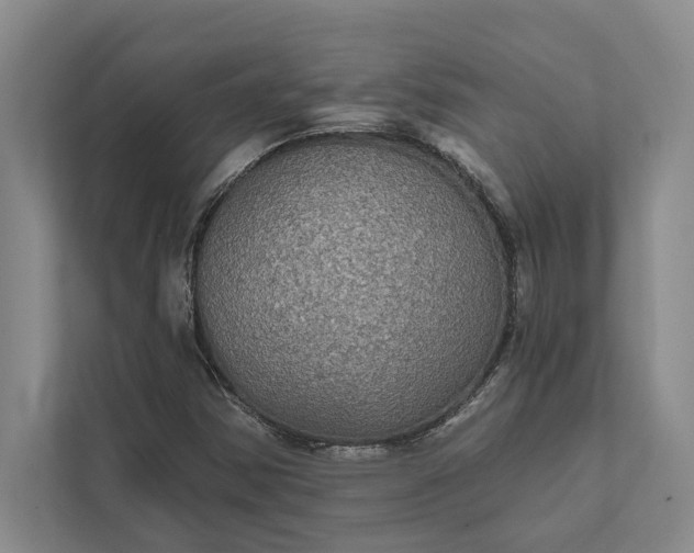 X0000112021354200908171421