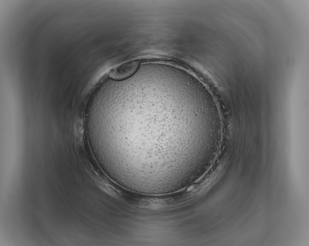 X0000112021355200908171421