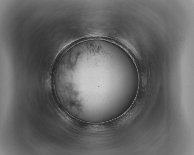 X0000112021356200908171421