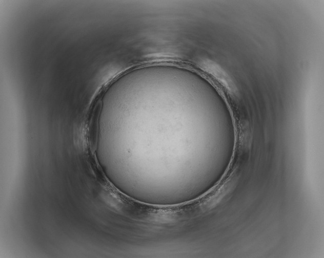 X0000112021357200908171421