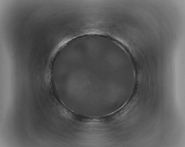 X0000112021359200908171421