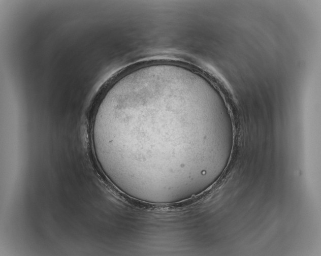 X0000112021360200908171421