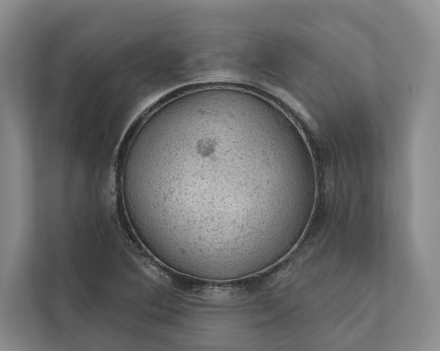 X0000112021364200908171421