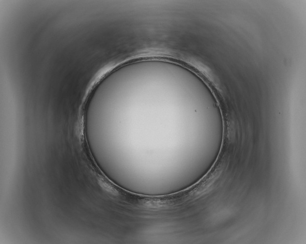 X0000112021366200908171421