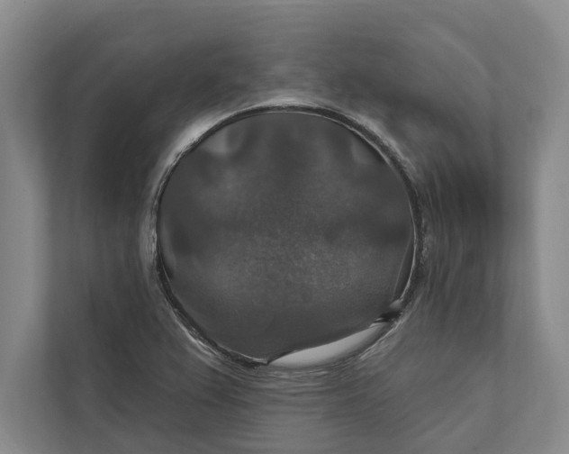 X0000112021367200908171421