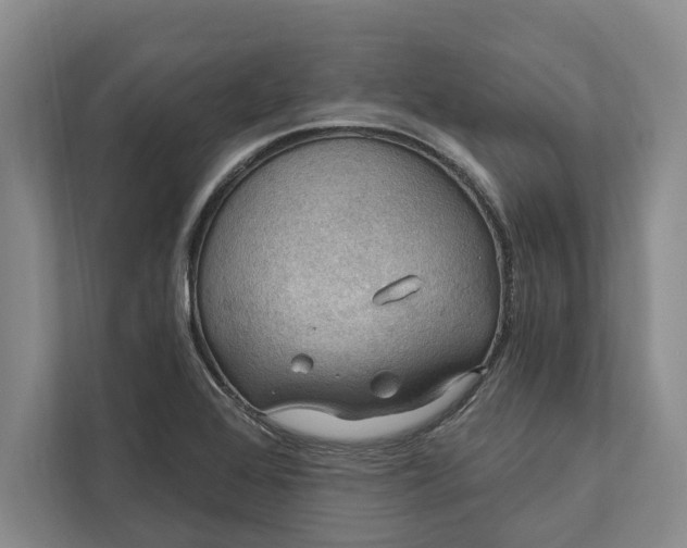 X0000112021368200908171421