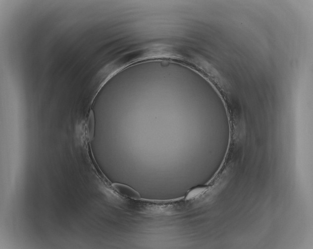 X0000112021369200908171421