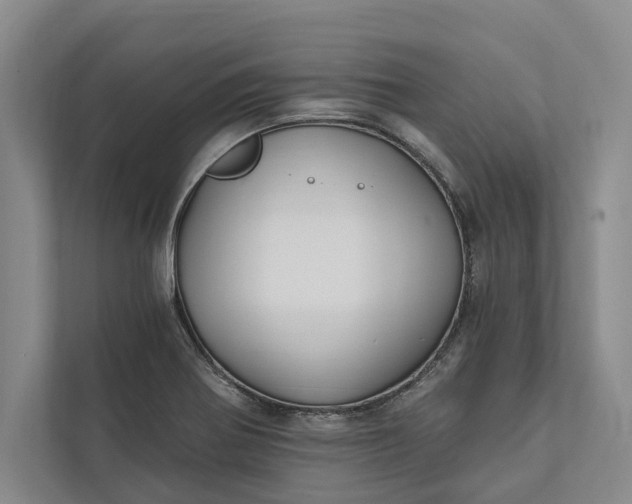 X0000112021370200908171421