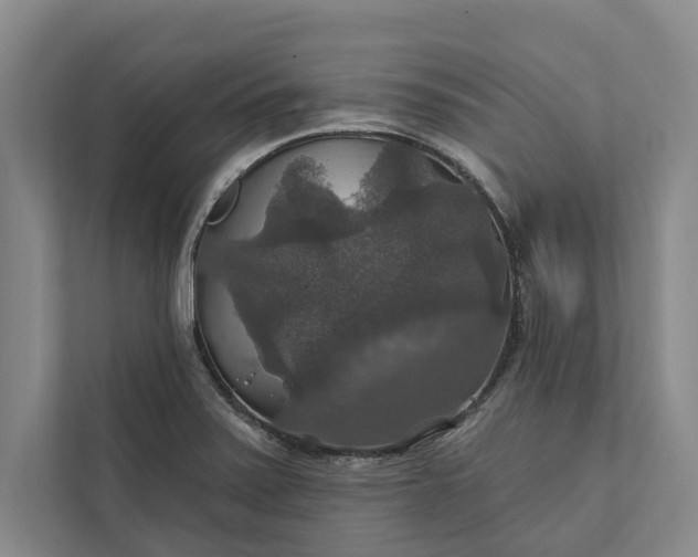 X0000112021371200908171421