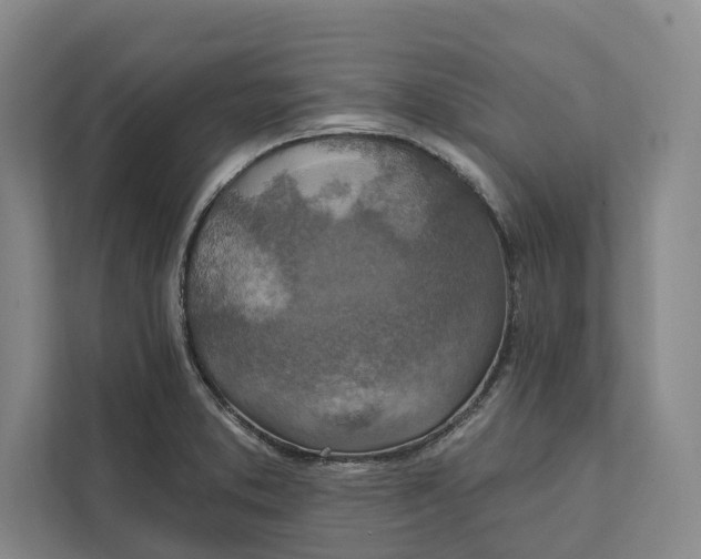 X0000112021373200908171421