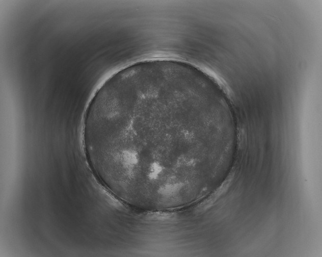 X0000112021374200908171421