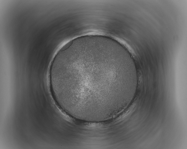 X0000112021375200908171421