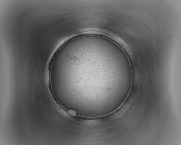 X0000112021376200908171421