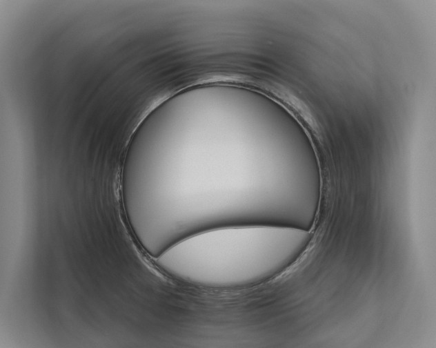 X0000112021377200908171421