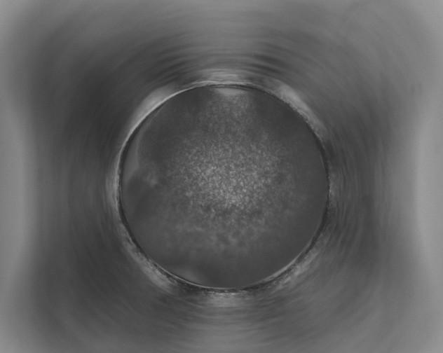 X0000112021378200908171421