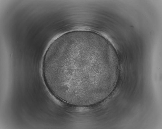 X0000112021379200908171421