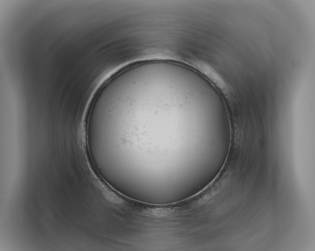 X0000112021380200908171421