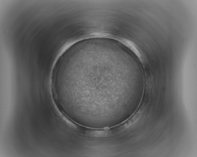 X0000112021381200908171421