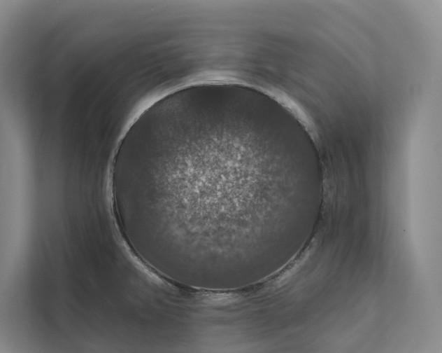 X0000112021382200908171421