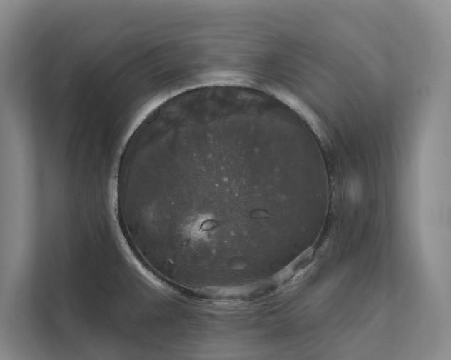 X0000112021383200908171421