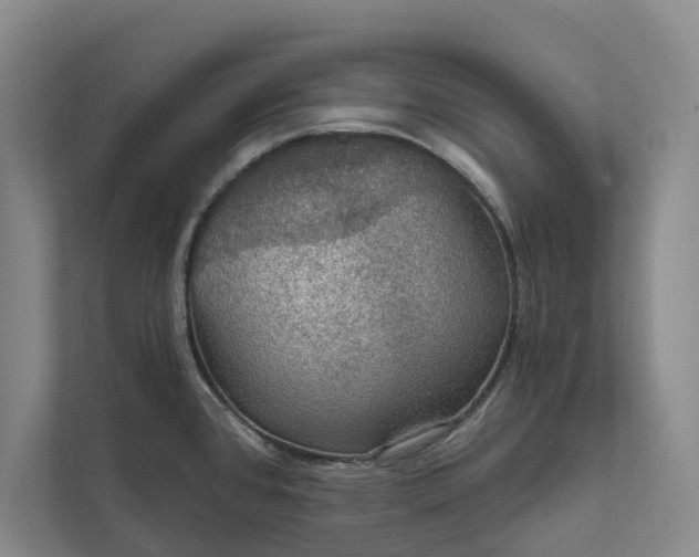 X0000112021384200908171421