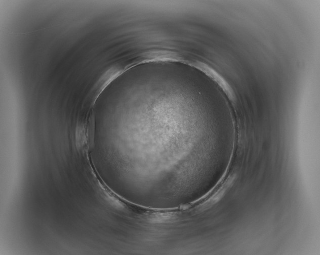 X0000112021385200908171421