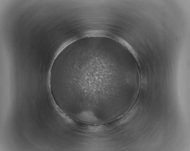 X0000112021386200908171421