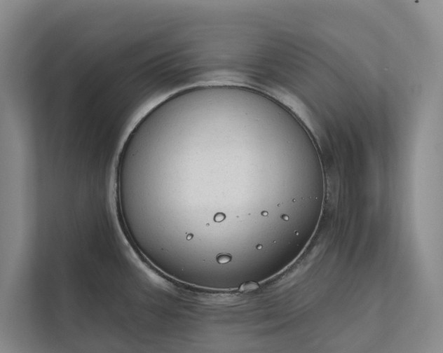 X0000112021387200908171421