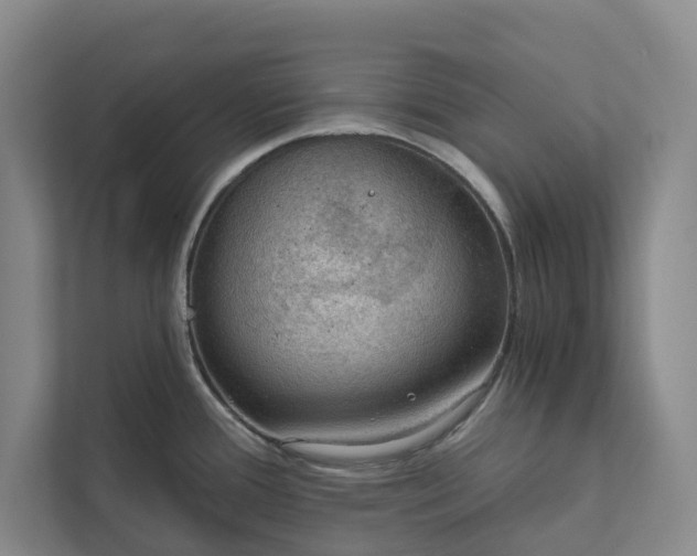 X0000112021388200908171421