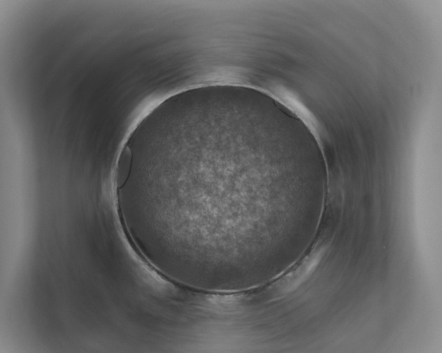 X0000112021389200908171421