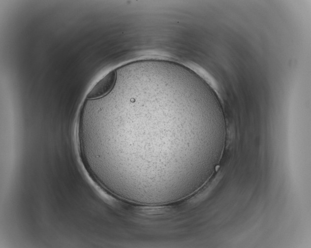 X0000112021391200908171421