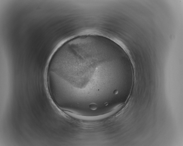 X0000112021392200908171421