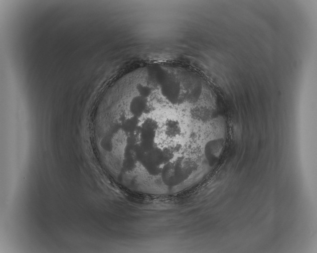 X0000112021393200908171420