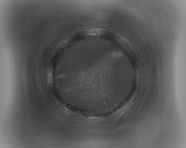 X0000112021394200908171420