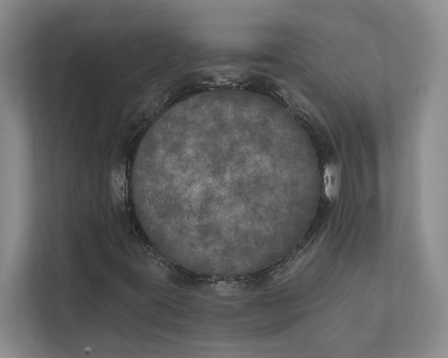 X0000112021395200908171420