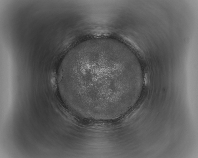 X0000112021396200908171420