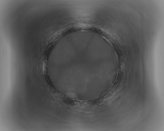 X0000112021397200908171420