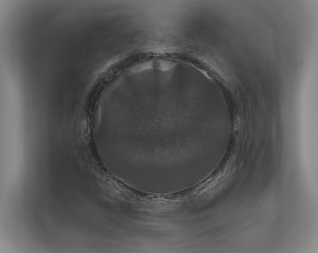 X0000112021398200908171420