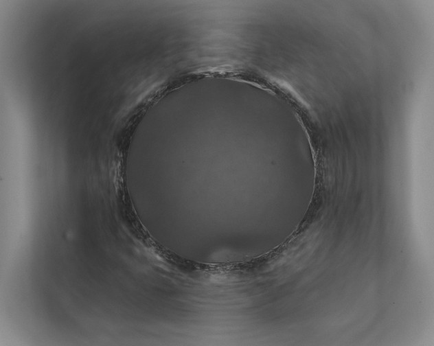 X0000112021399200908171420