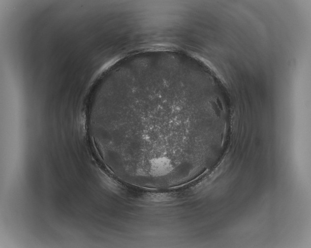 X0000112021402200908171420