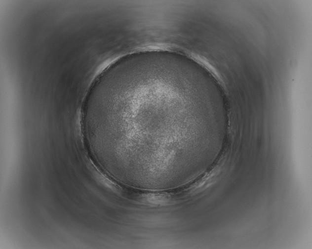 X0000112021404200908171420