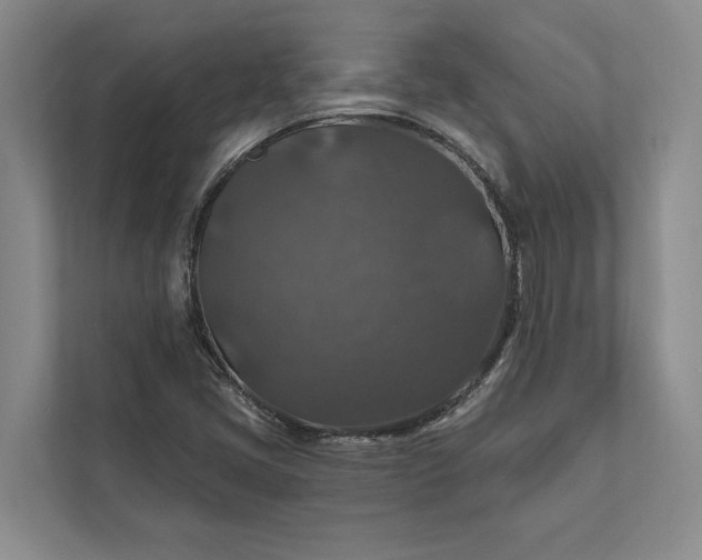 X0000112021405200908171421