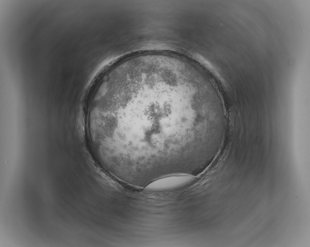 X0000112021408200908171421