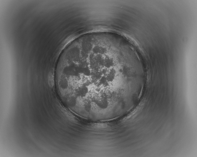 X0000112021409200908171421