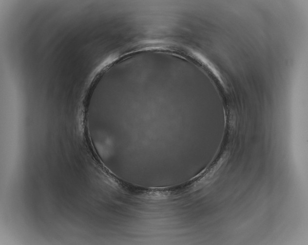 X0000112021411200908171421