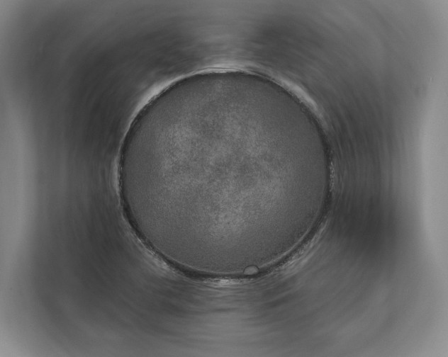 X0000112021412200908171421