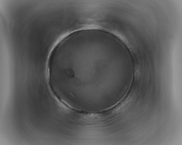 X0000112021414200908171421