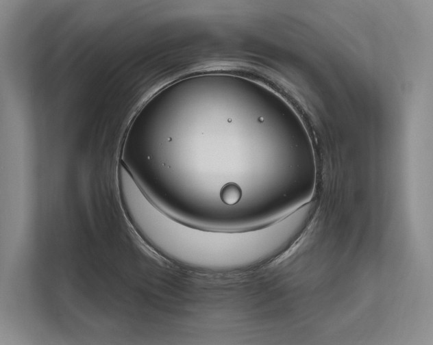 X0000112021417200908171421